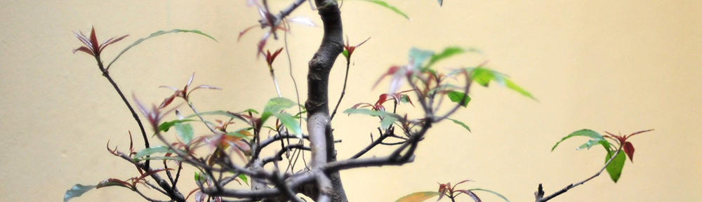 Okna Piła Strony www Piła Rolety zewnętrzne wewnętrzne producent układanie kostki brukowej Poznań układanie polbruku Koszalin Brukarstwo Szczecin Kołobrzeg strony internetowe Bydgoszcz Toruń Architekt Nagrobki Piła kamieniarz ubezpieczenia Ślusarz zakład ślusarski ogrodzenia